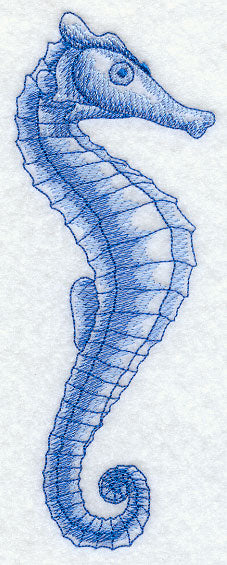 Seahorse Sea Sketch