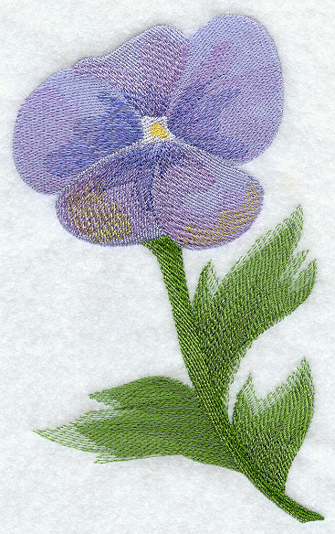 Pansy in Watercolor