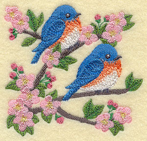 Blossoms and Bluebirds