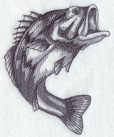 Largemouth Bass Sketch