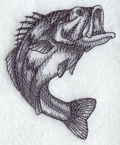 Largemouth Bass Sketch