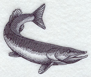 Northern Pike Sketch