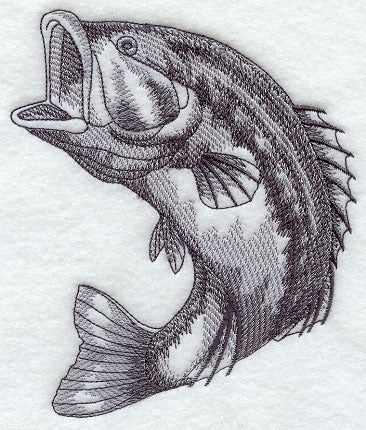 Spotted Bass Sketch