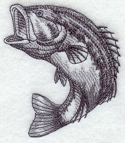 Spotted Bass Sketch