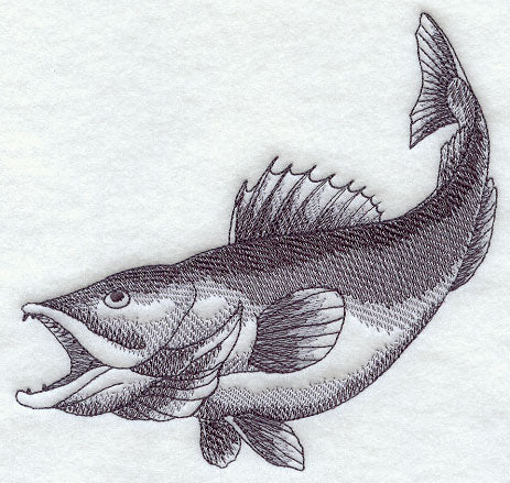 Walleye Sketch
