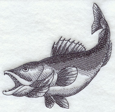 Walleye Sketch