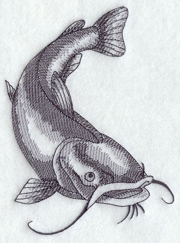 Flathead Catfish Sketch