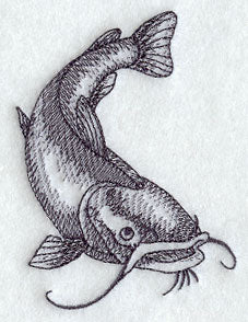 Flathead Catfish Sketch