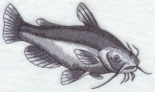 Yellow Bullhead Sketch