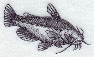 Yellow Bullhead Sketch