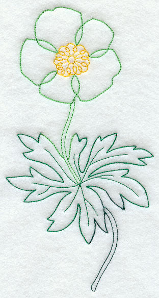 Canada Anemone 1 (Vintage)