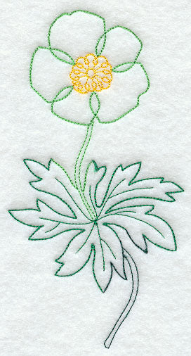 Canada Anemone 1 (Vintage)