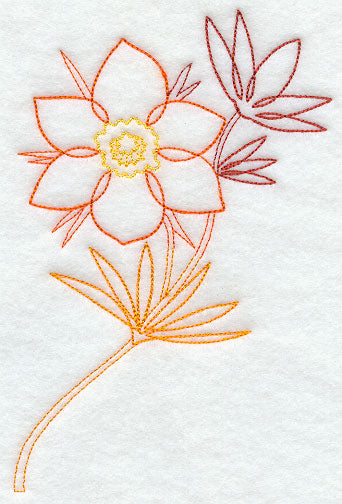 Pasque Flower 1 (Vintage)