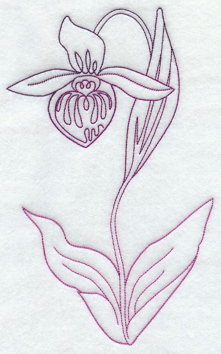 Lady's Slipper 1 (Vintage)