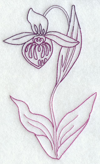 Lady's Slipper 1 (Vintage)