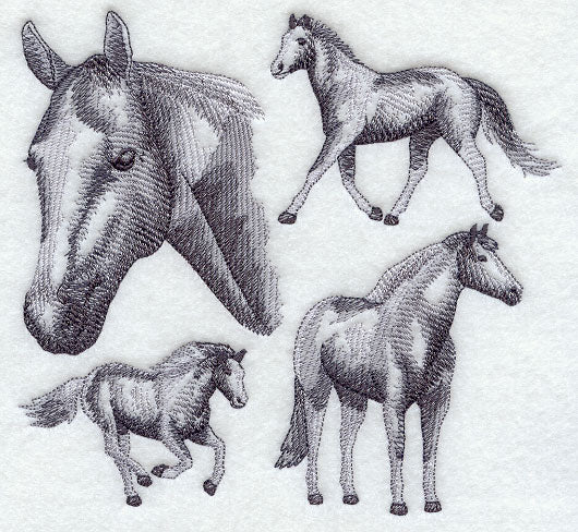 American Paint Horse Sketch