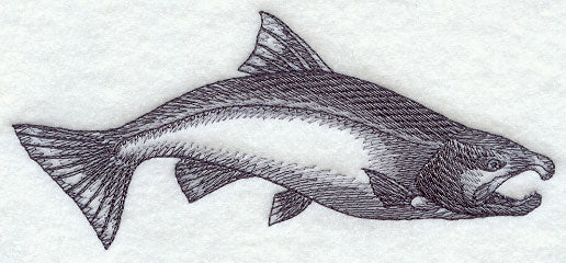 Coho Salmon Sketch