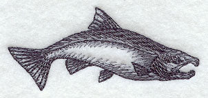 Coho Salmon Sketch