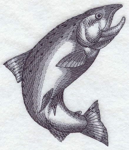 King Salmon Sketch