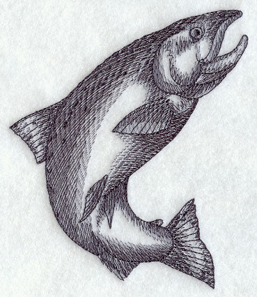 King Salmon Sketch