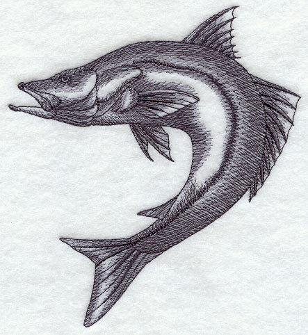 Snook Sketch