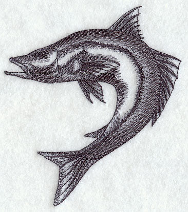 Snook Sketch