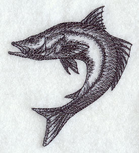 Snook Sketch