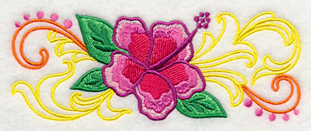 Brilliant Hibiscus Border