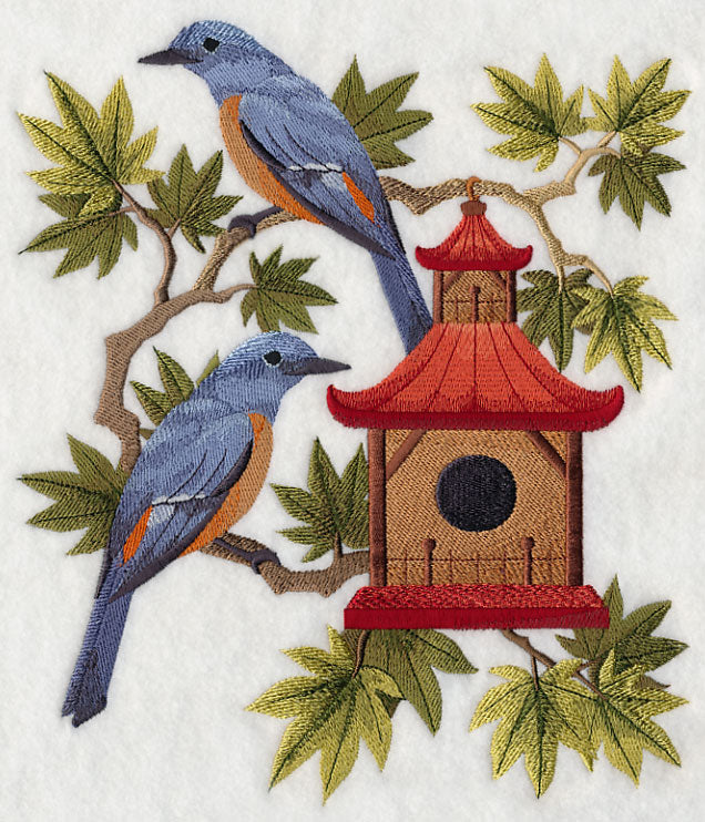 Blue Rock Thrushes and Birdhouse