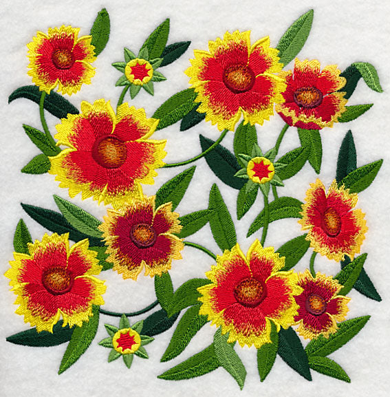 Goblin Blanket Flower Blossoms