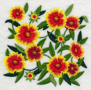 Goblin Blanket Flower Blossoms