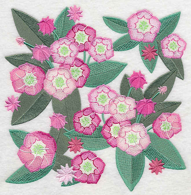 Mountain Laurel Blossoms