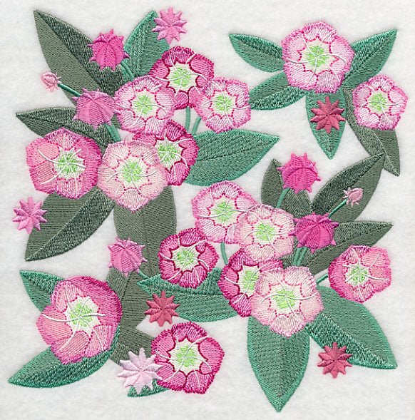 Mountain Laurel Blossoms