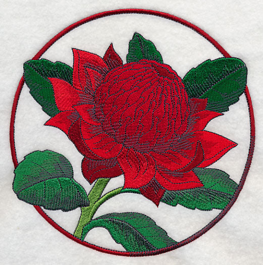 Elegant Flower Circle - Waratah