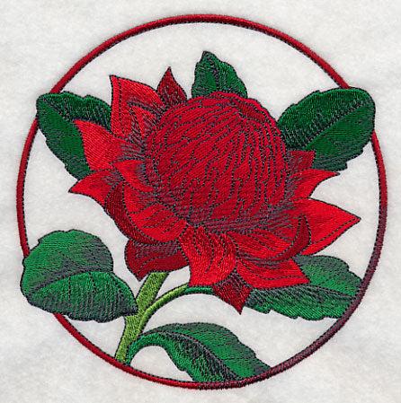 Elegant Flower Circle - Waratah