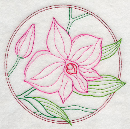 Elegant Flower Circle - Cooktown Orchid (Vintage)