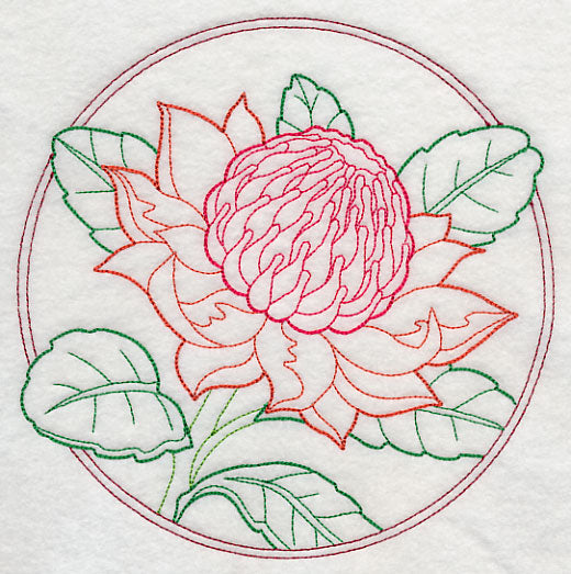 Elegant Flower Circle - Waratah (Vintage)