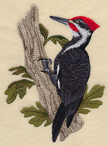Pileated Woodpecker