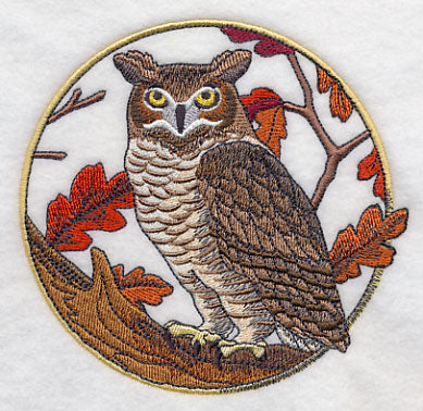 Great Horned Owl in Autumn