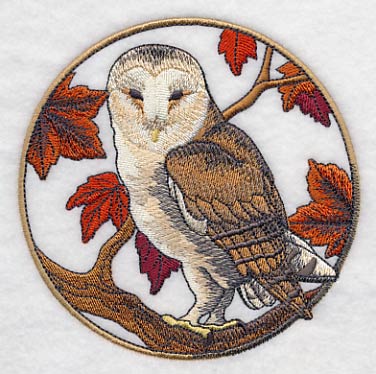 Barn Owl in Autumn