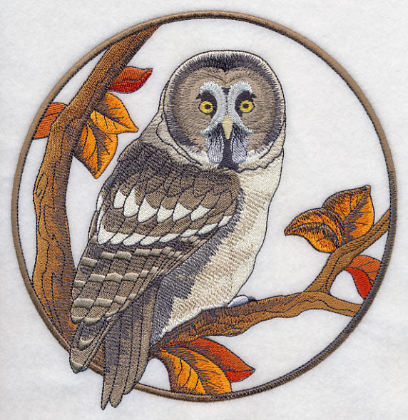 Great Grey Owl in Autumn