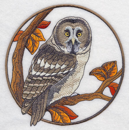 Great Grey Owl in Autumn
