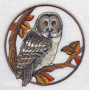 Great Grey Owl in Autumn