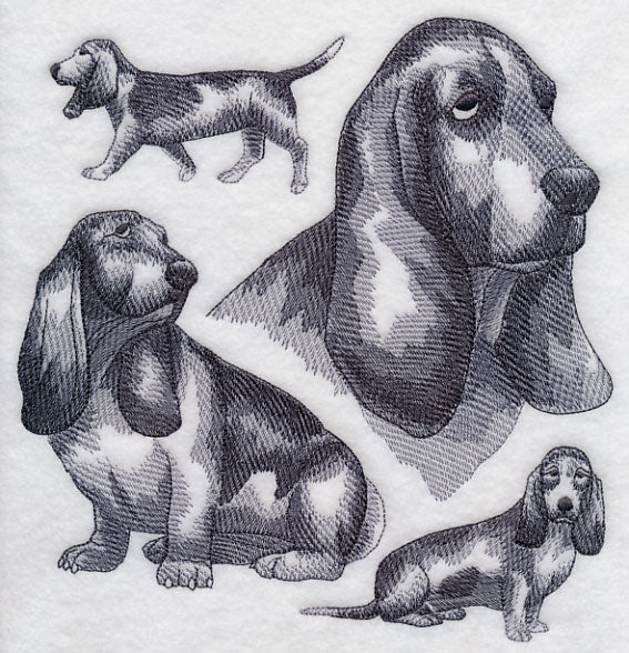 Basset Hound Sketch