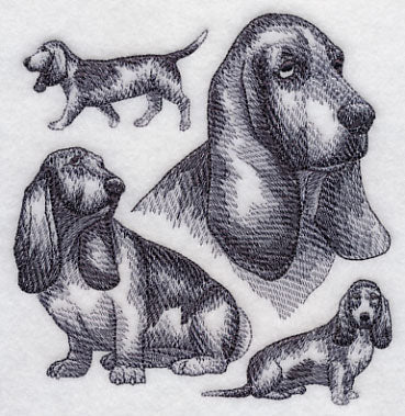 Basset Hound Sketch