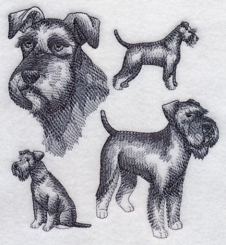 Schnauzer Sketch (Full Tail and Ears)