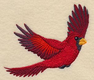 Flying Cardinal
