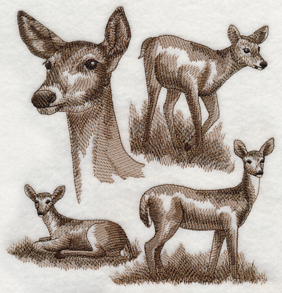 White-tailed Deer Sketch