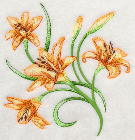 Delicate Daylilies 1