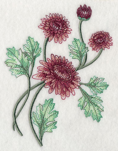 Classy Chrysanthemums 2